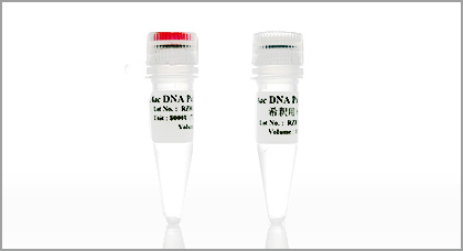 Aac DNA Polymerase用反応緩衝液 / 2x Reaction Buffer