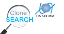 The DNAFORM Clone Search Engine